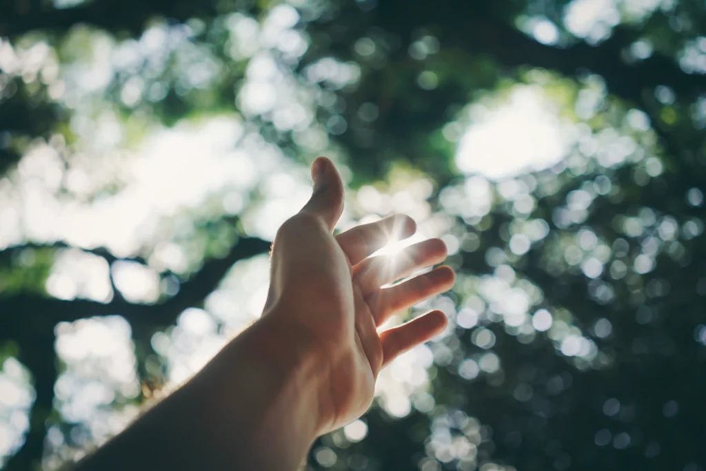 Hand reaching toward the sun in a Pennsylvania forest.